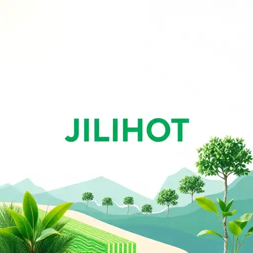 About Us - Discover JILIHOT